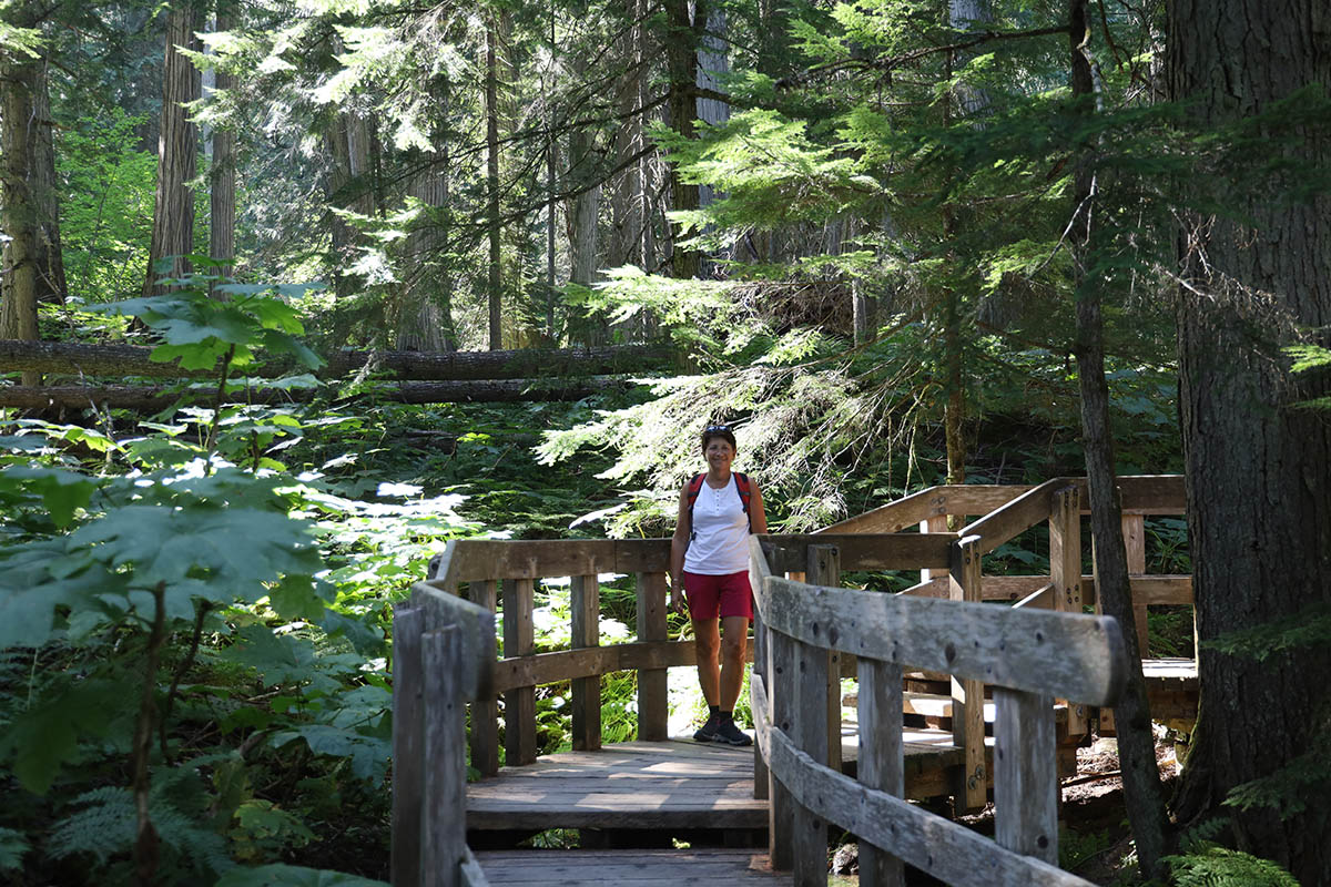 Giant Cedars Boardwalk